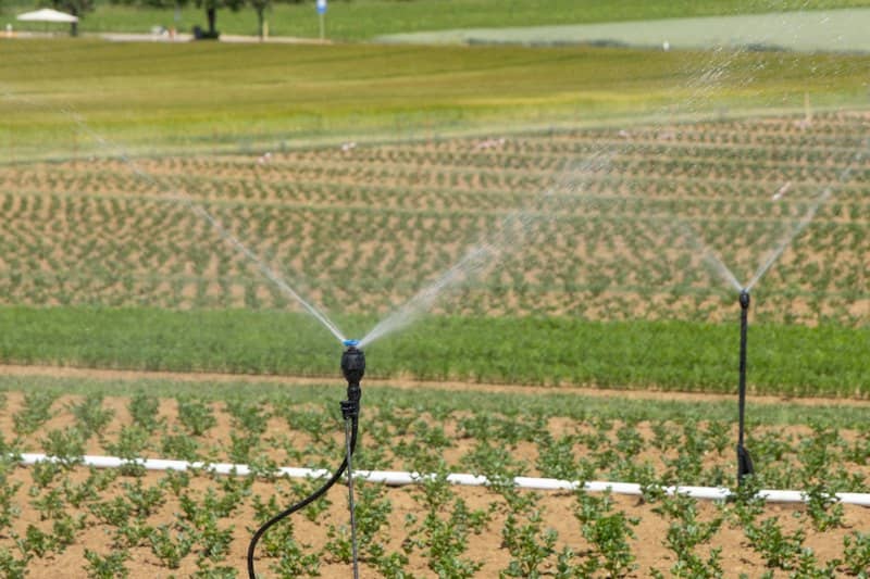 Sprinkler